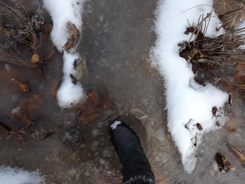 3rd- Jan 2014 photo 3_zps5ce49df3.jpg